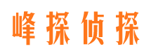 都安市调查公司